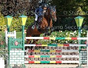 FRANCO Vinco io GioCav2013 S6 7735 : Campionati Italiani Giovani Cavalli, Cattolica, FRANCO Francesco, Vinco io, ph Stefano Secchi ©